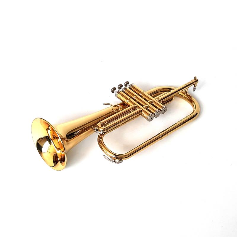 Flugel Bb con estuche