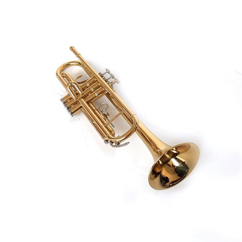 Trompeta Bb Dorada con Estuche