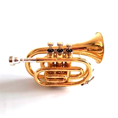 Trompeta pocket Bb con estuche