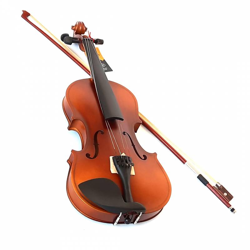 Violín 4/4 Mate con Estuche